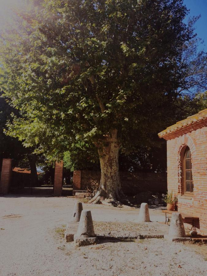 Villa Mas Sant Jordi Alénya Exterior foto